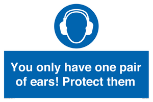 Mandatory: You only have one pair of ears! Protect them